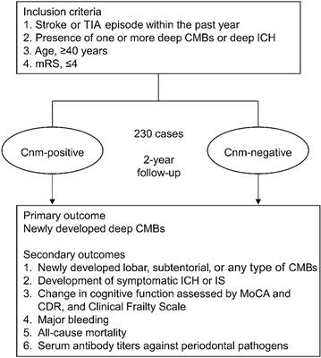 Risk Assessment of Cnm-Positive Streptococcus mutans in Stroke Survivors (RAMESSES): Protocol for a Multicenter Prospective Cohort Study